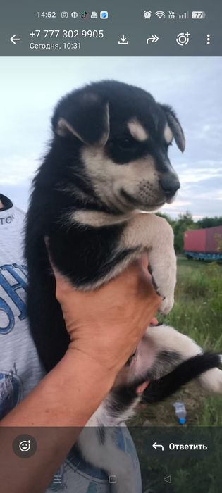 Девочки и мальчики ждут своих родителей.