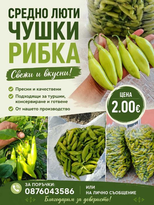 Зеленчуци и плодове