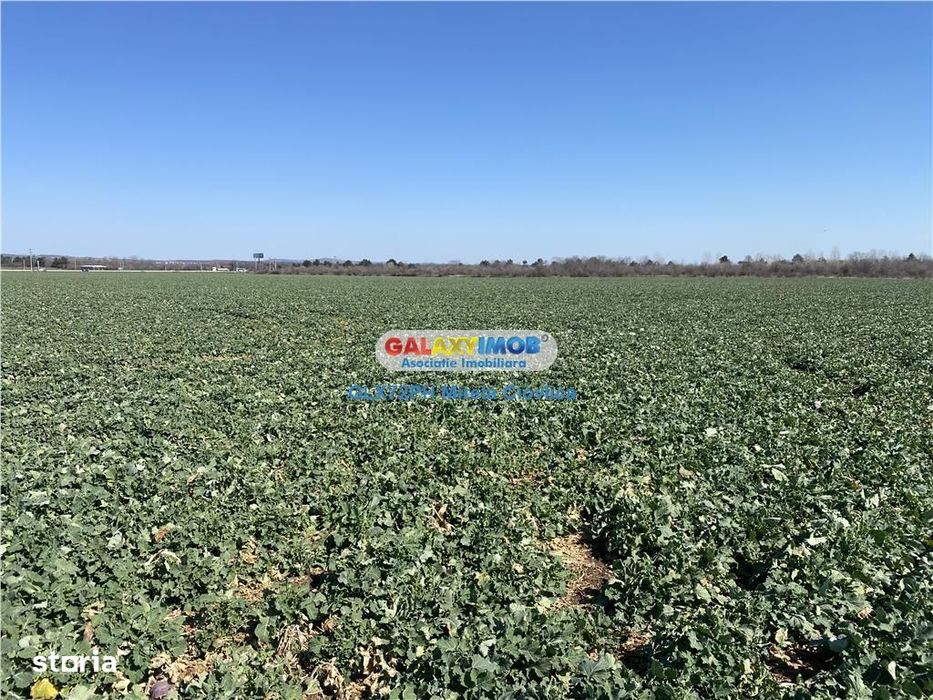 Vanzare teren industrial Paulesti Prahova gata de construit