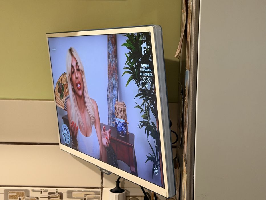 Samsung T24D391, 24”, Full HD, televizor de bucatarie si monitor