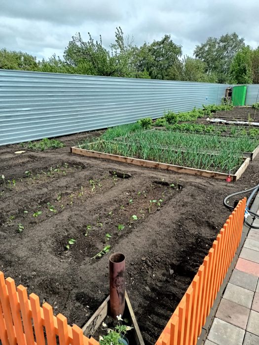 Дача текстильщиков2