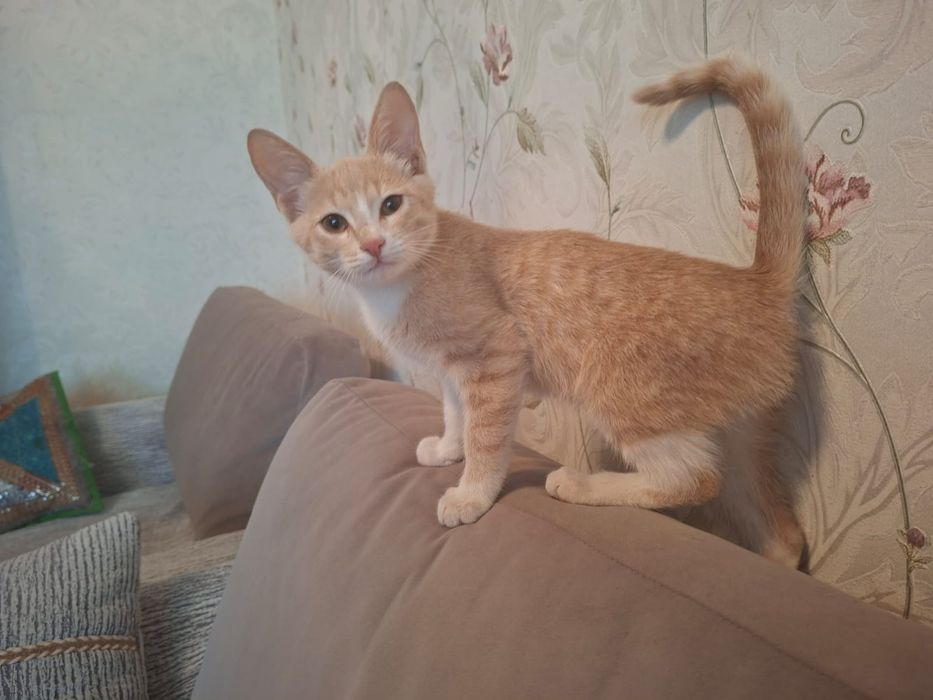 Мальчик. 5 месяцев