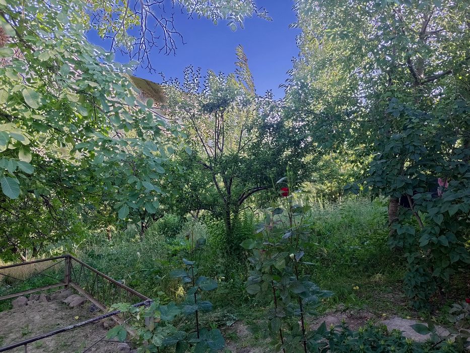 Участка сотилады