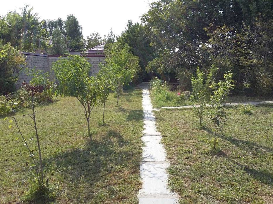 Дача не далеко от ТашМоря.