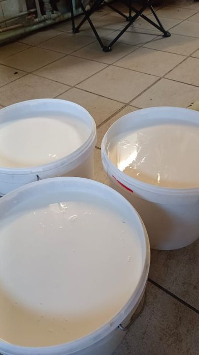 Молочные продукты