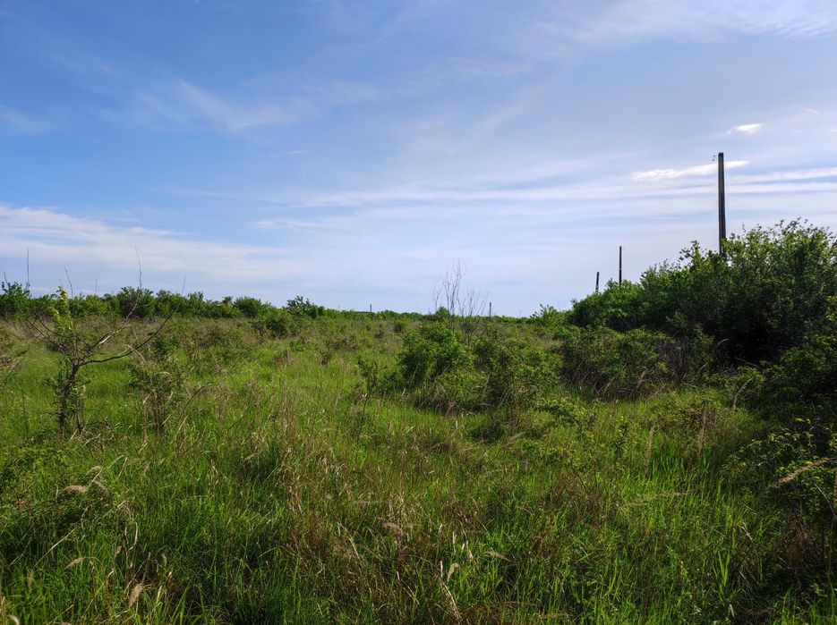 Teren 14000-34000mp intravilan curti constructii