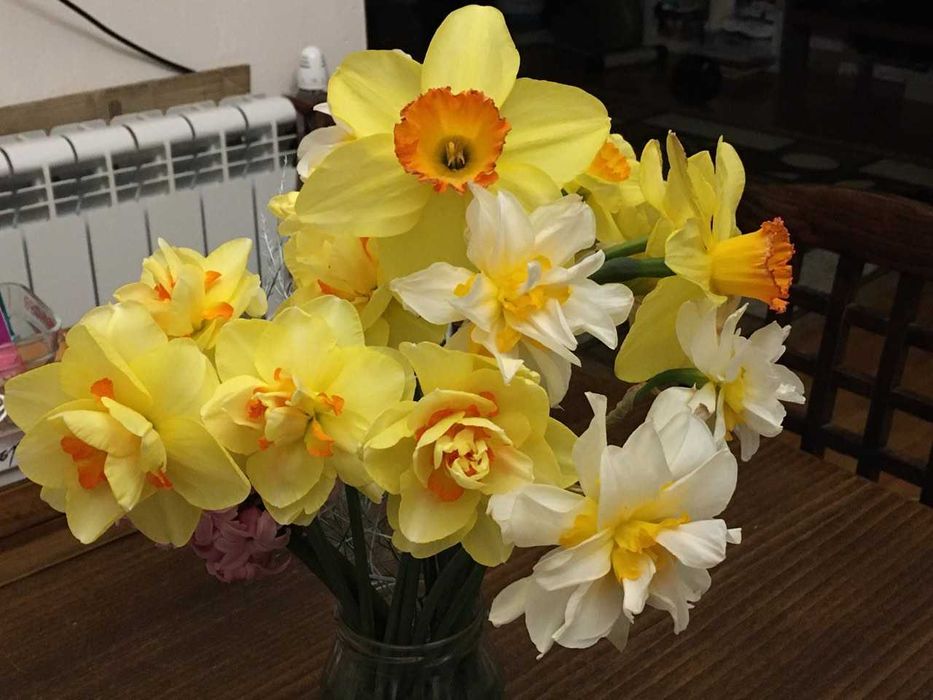 Луковици и грудки на цветя