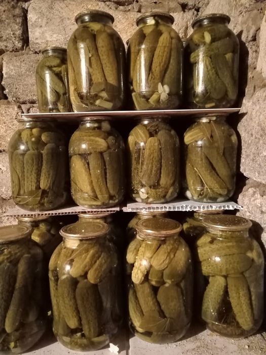 Продам домашнее соленье