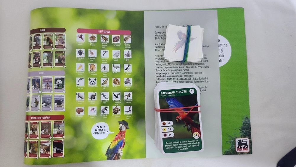 Set 30 tatuaje Expeditie in jurul lumii 1 sau 2 Mega