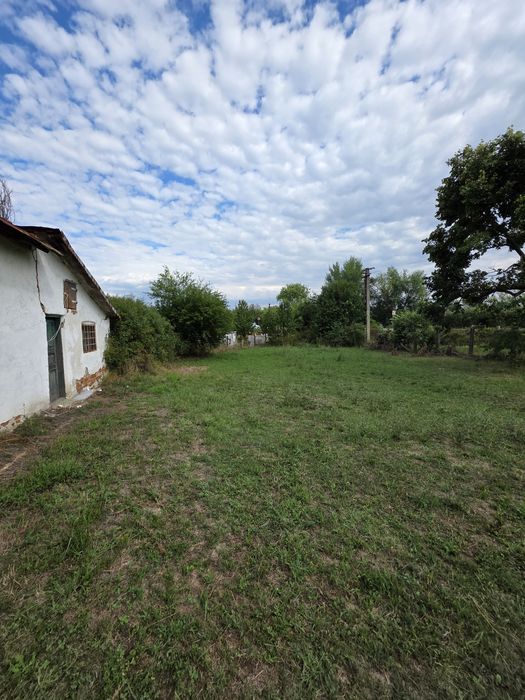 Moara de Vanzare 2005 MP