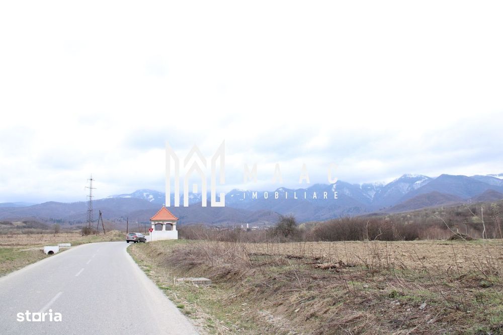 Oportunități de Investiție în Terenuri Sebesul de Sus