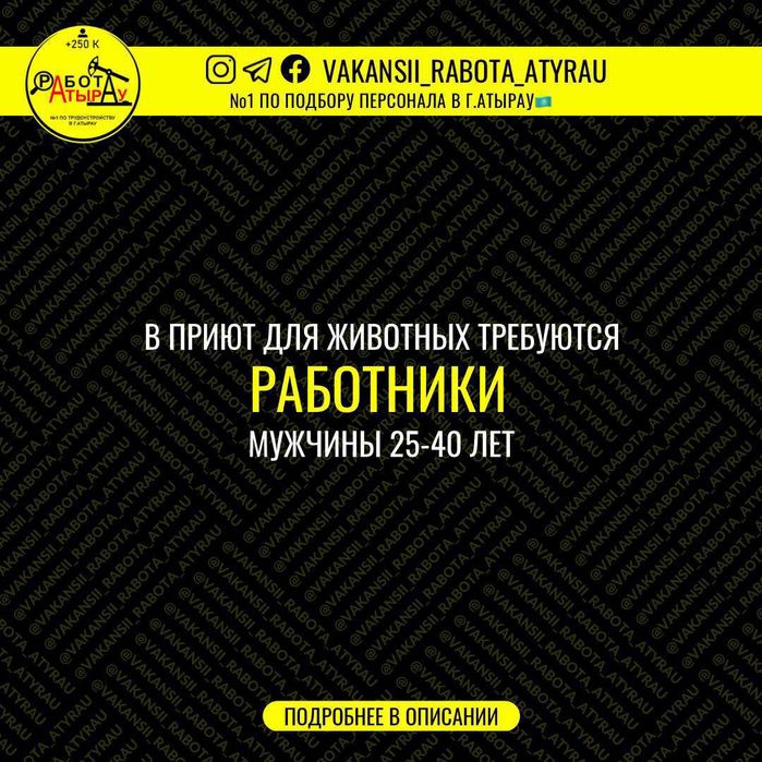 Для мытья посуды в посудомоечной машине
