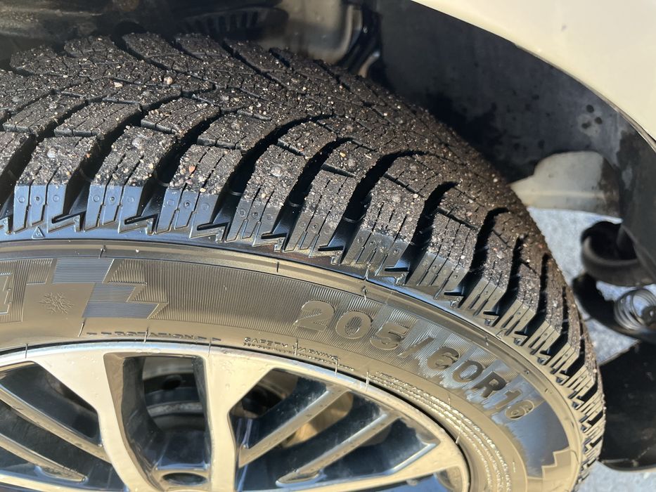 Продам живой пасса Б-5