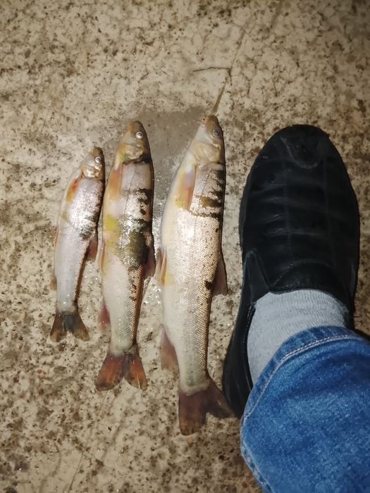 Участок в центре города