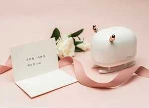 Портативный увлажнитель воздуха Sothing Deer Humidifier&Light (белый)