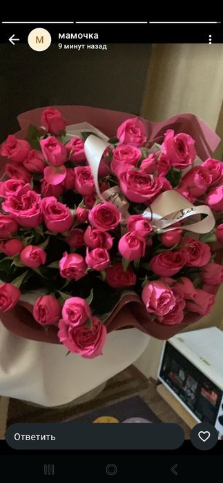 Цветы роза арзан бағада