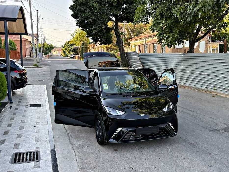 BYD Seagul bosh tolov 25% Bilan