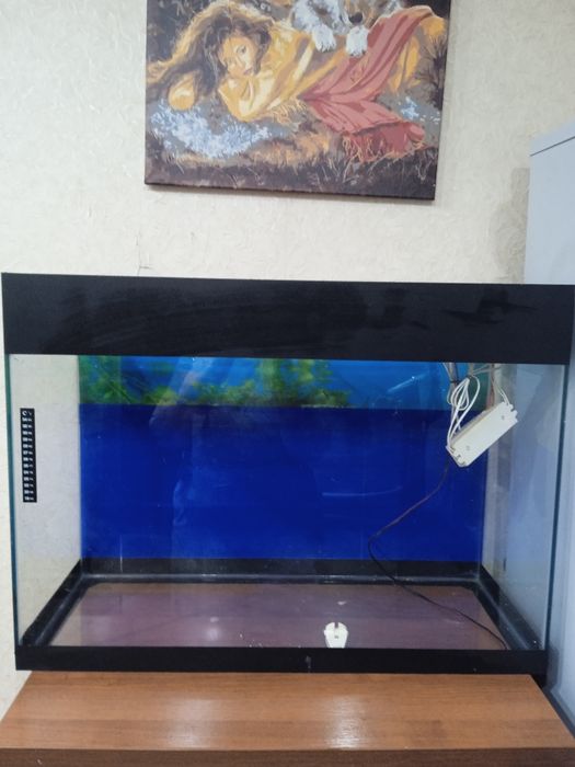 Продам аквариум для рыб.