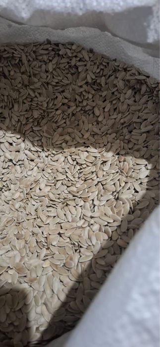 Бакинские семена дыни