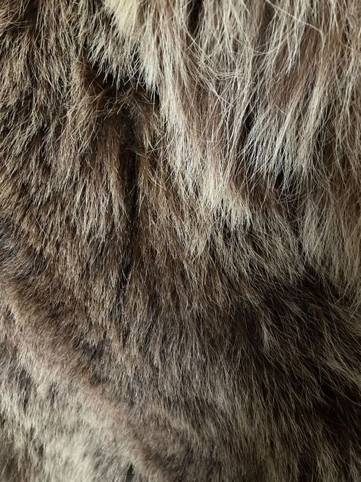 Blană de urs tăbăcită