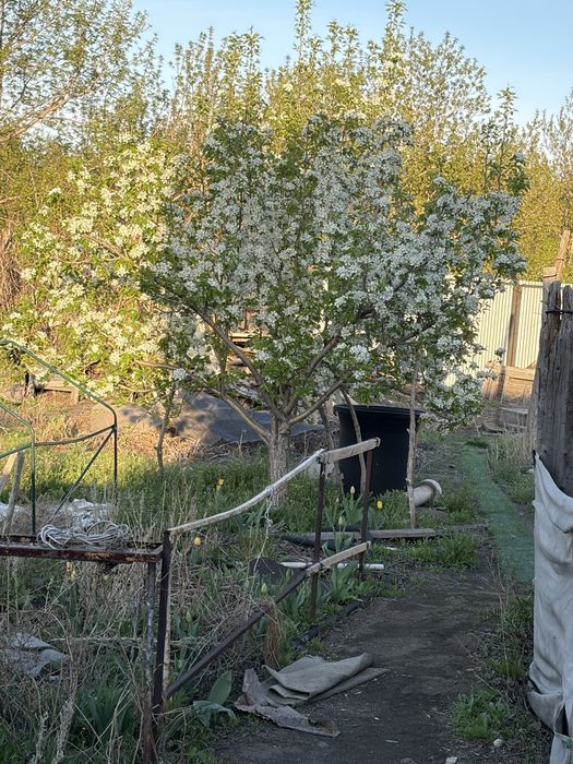 Продам дом п. Финский. Торг.