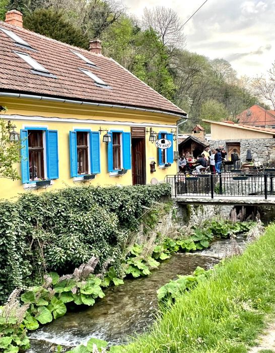 Vând restaurant/casă de vacanță Sasca Montană