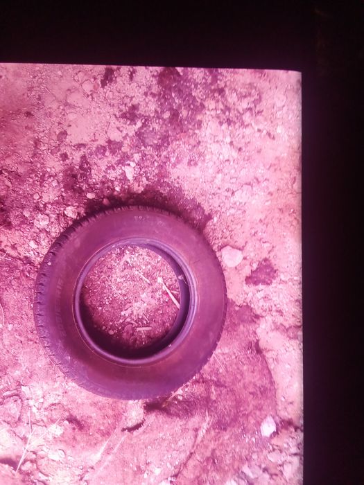 Шина. Камплекть 4. Штьук