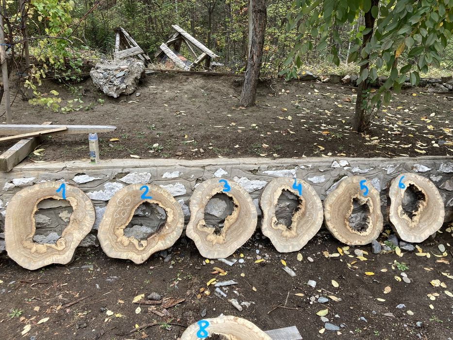 Rondele NUC,cireș,fag,stejar