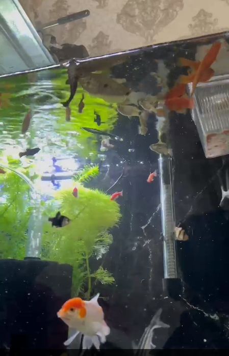 Акварим 250литр комплекте все