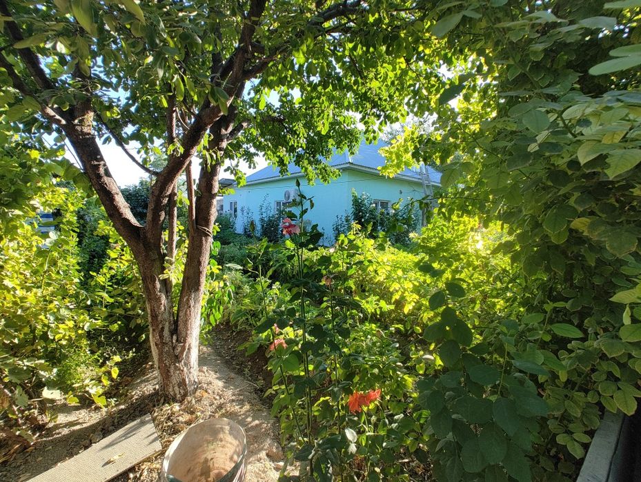 Продам Дачу "Сабалак"