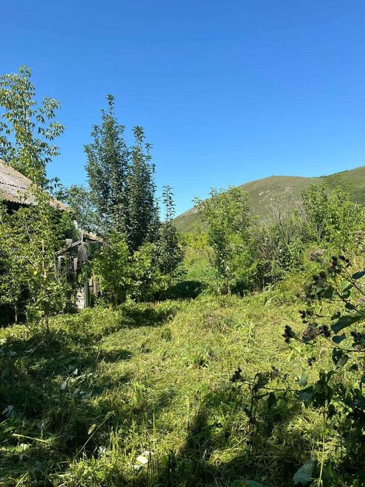 Продам дом в селе Быструха