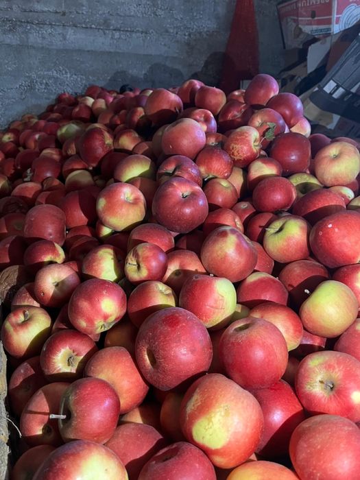 Vand mere diferite soiuri