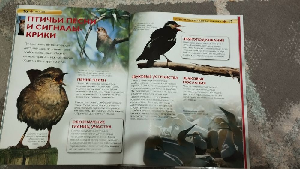 Книга для детей 5 штук
