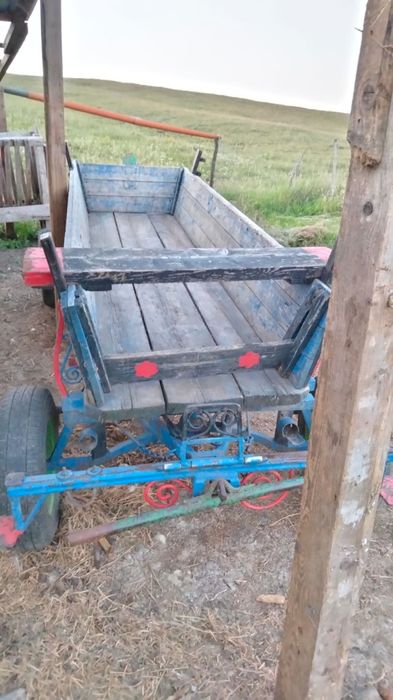 Vând mânză 1an și 4 luni ,ham și caruta