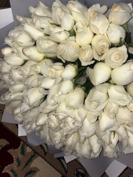 Белый роза 101 шт Шымкент