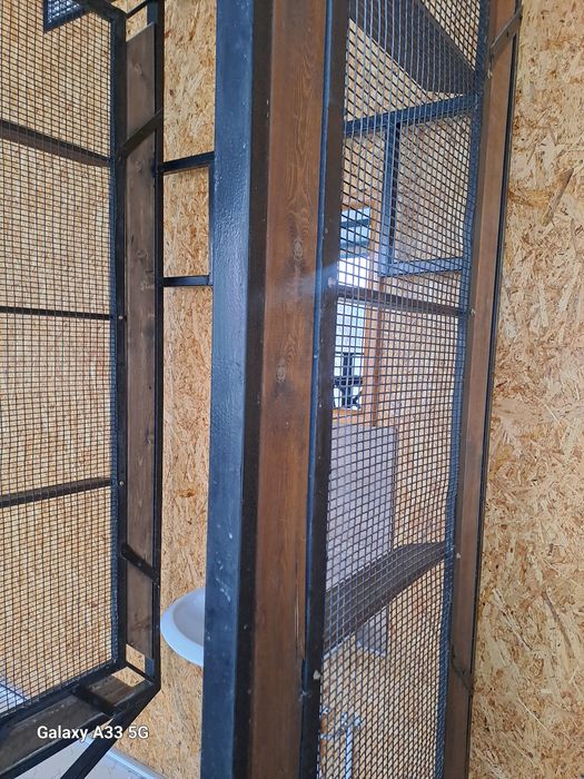 Раковина сотилади