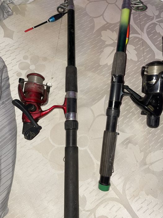 Bete pescuit 500 lei toate trei