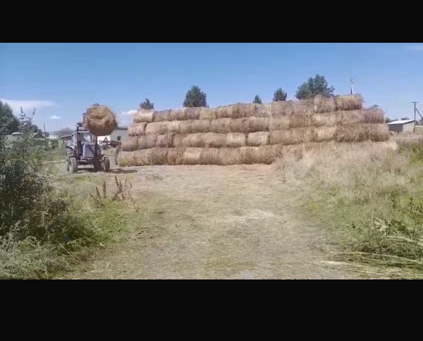 Эспарцет(сено в рулонах)Кеген,Каркара