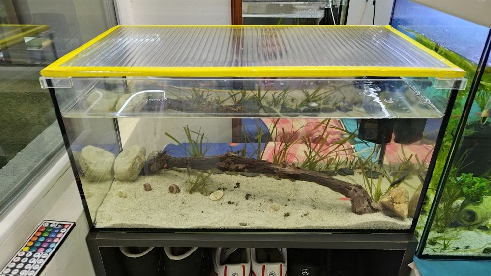 Acvariu cu pesti 54L plante scoici pesti cioata substrat led capac