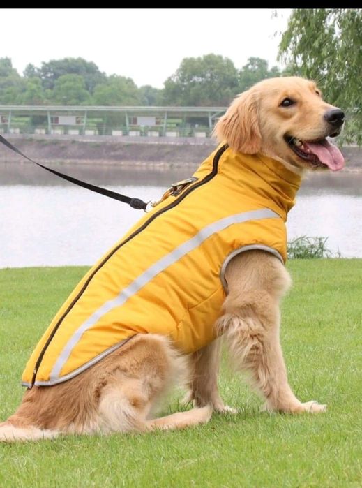 Haina caine talie mare , Produs Nou,Sigilat