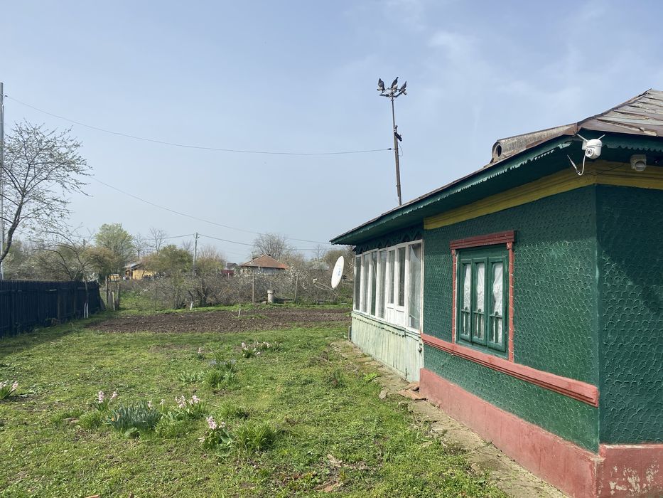 Inchiriez casa in rasuceni