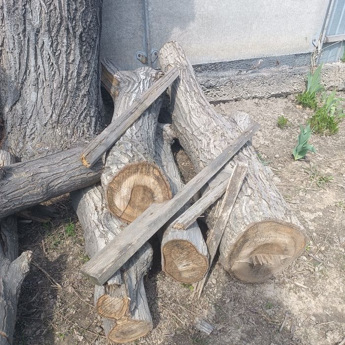 Продам пеньки от ореха.