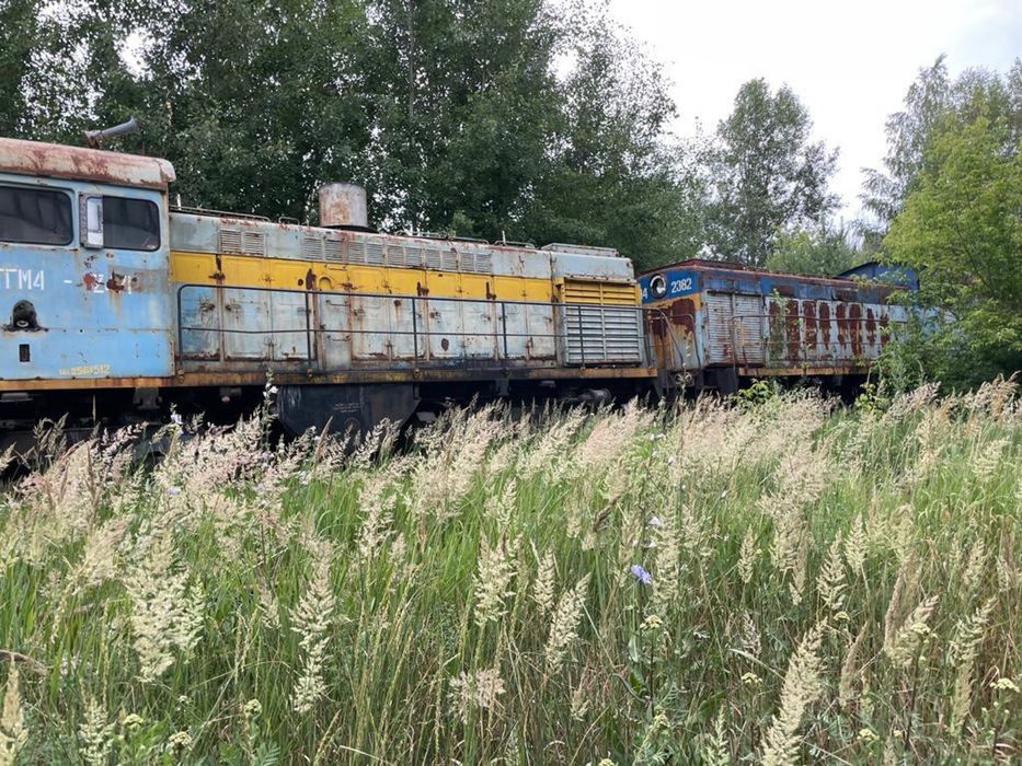 Тепловоз тэм 2 тгм 4