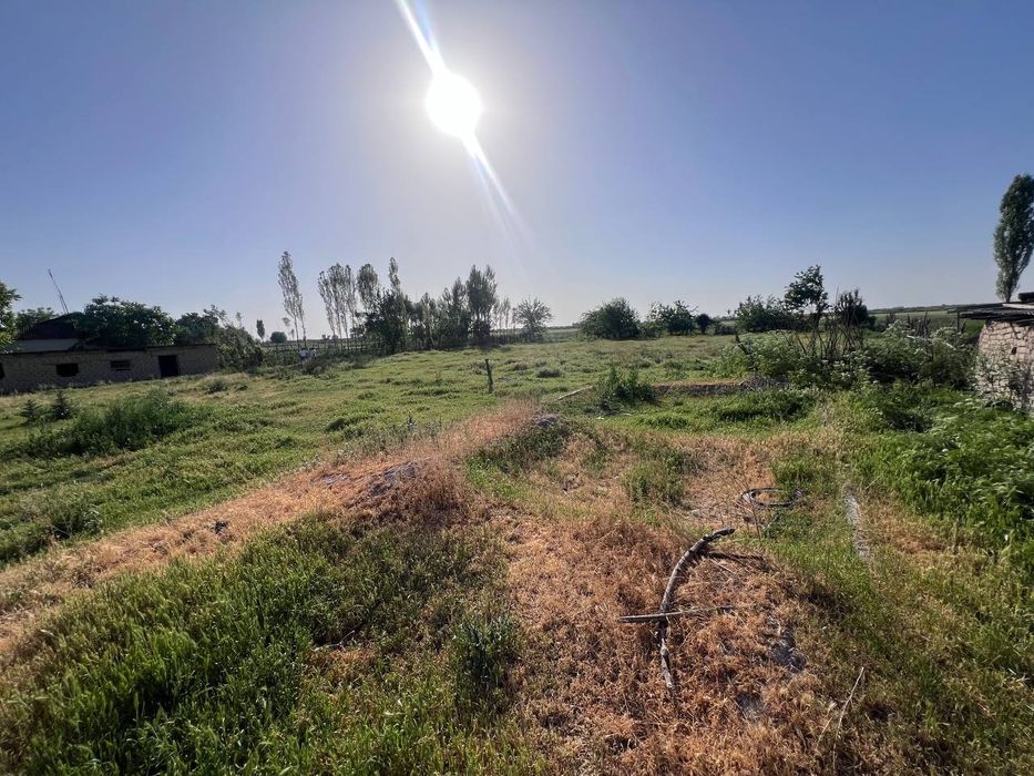 Участка 30 сотих. Кадастри бор