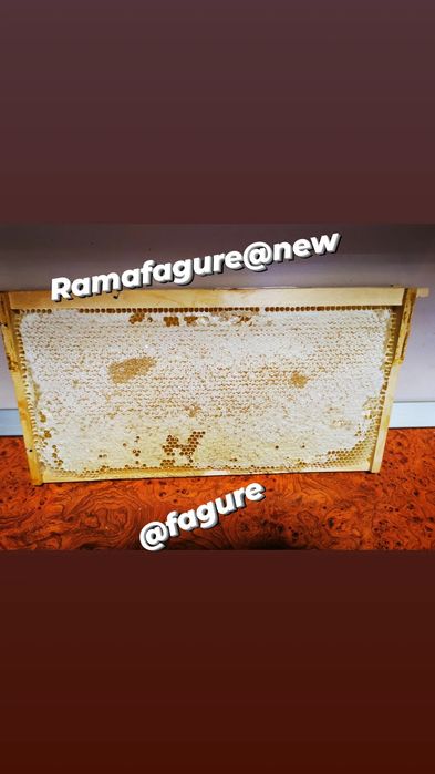 Miere 100% naturala si produse apicole