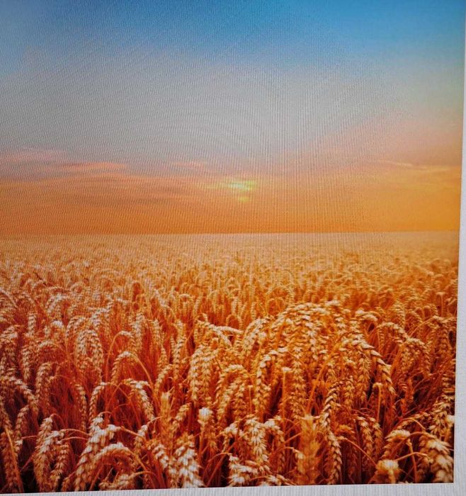 пашни и пастбища