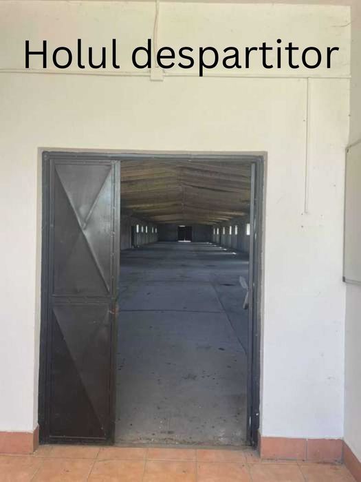 Hală pentru Depozitare in orasul SATU MARE 850 mp + Spatiu Exterior