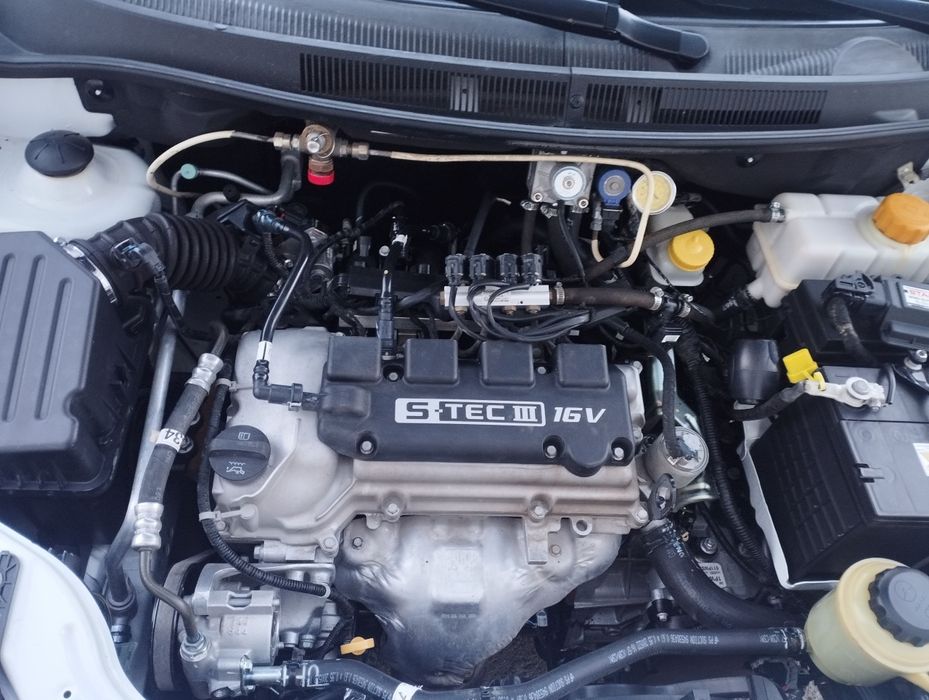 Mnexia 3 2021 kraska toza