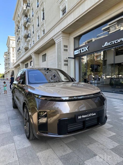 Новый Liauto Livis L9