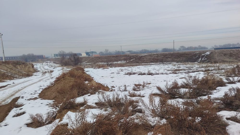 Участок 50 соток